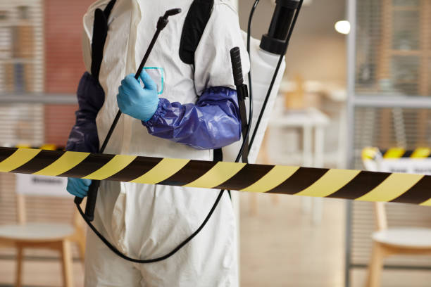 Professional Hoarding Cleanup technician working in West Harwich, MA